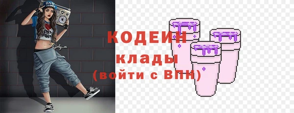 прущие грибы Вязьма