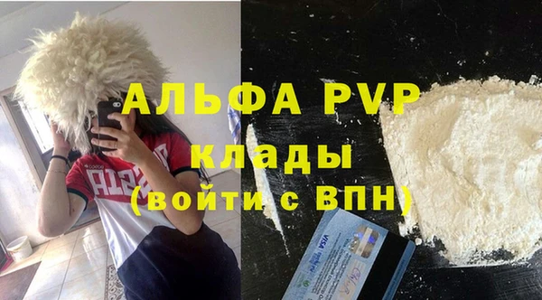 прущие грибы Вязьма